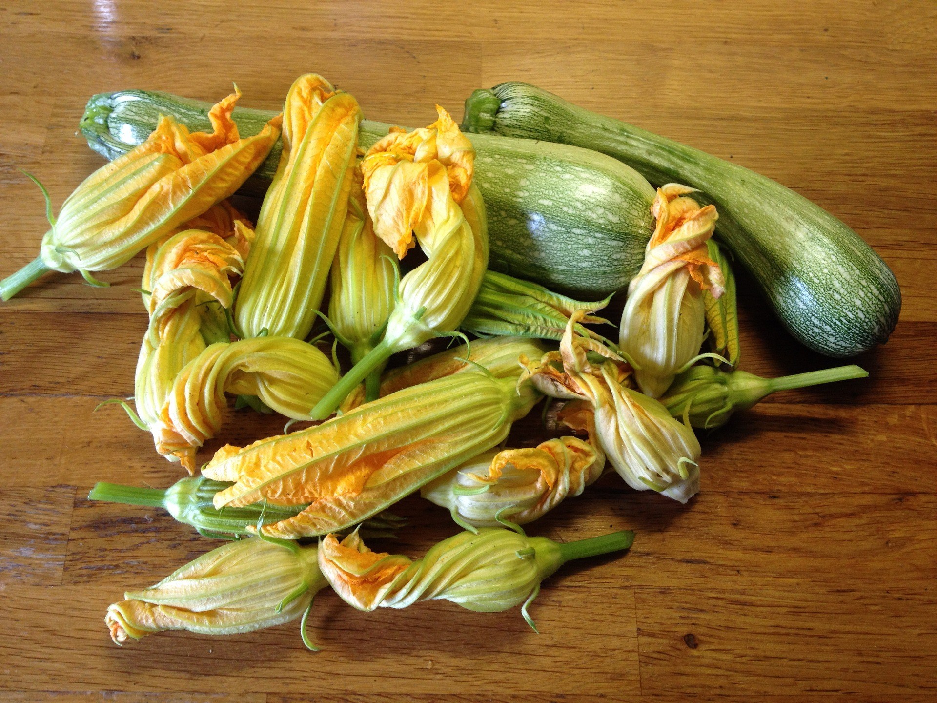 Zucchiniblüte • Kochmania - Kostenlose Rezepte