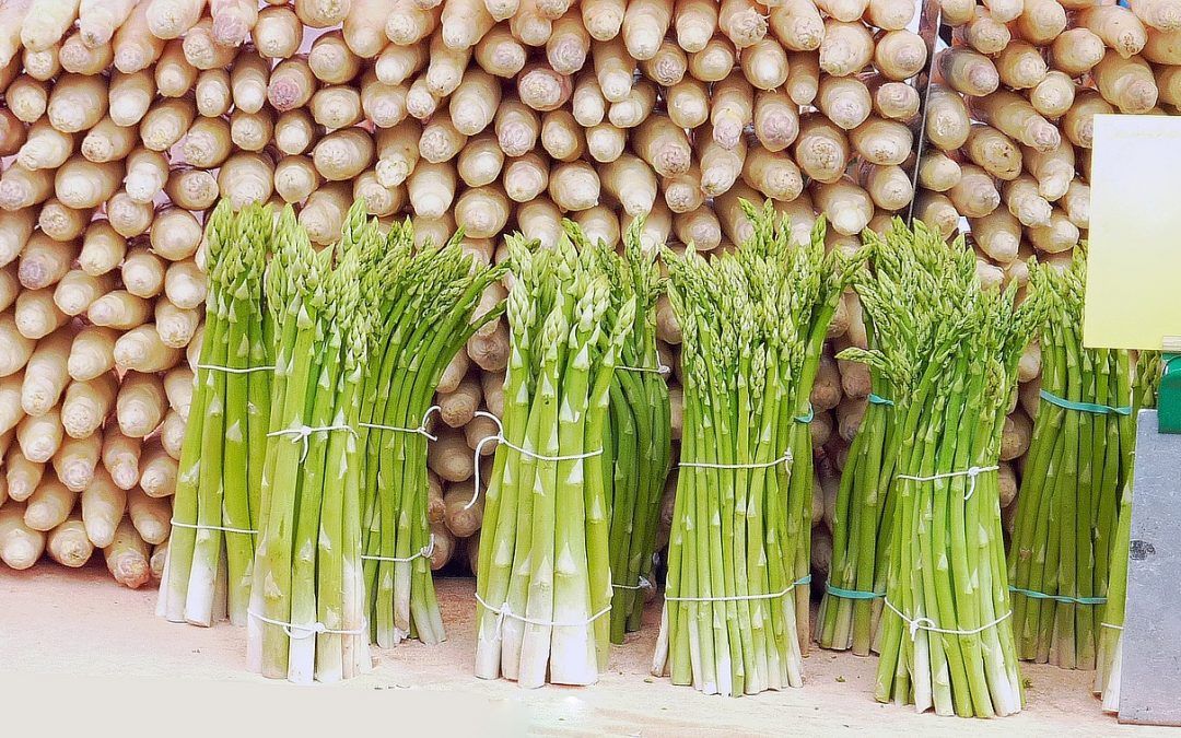 Das Weiße Gold des Frühlings: Die Spargelzeit ist da