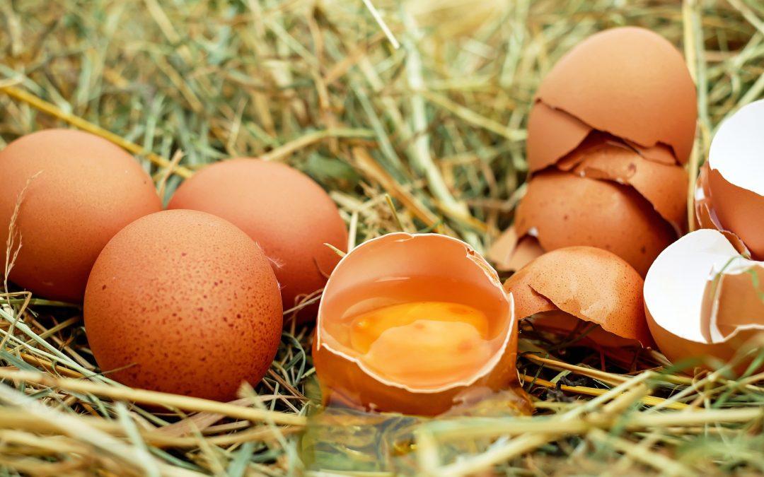 Ei Ei Ei:  Tipps zur Zubereitung von Eiern