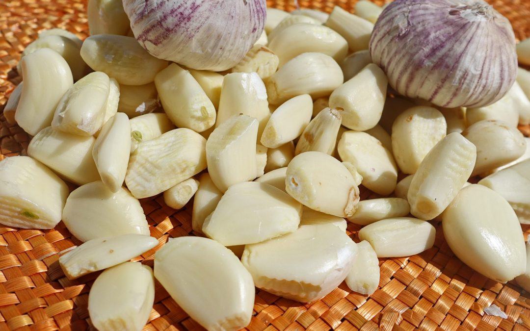 knoblauch Gewürz